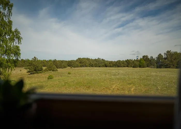 Veju Paradize